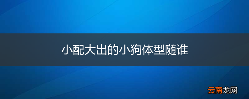 小配大出的小狗体型随谁