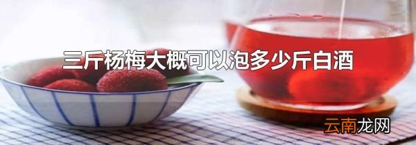 三斤杨梅大概可以泡多少斤白酒