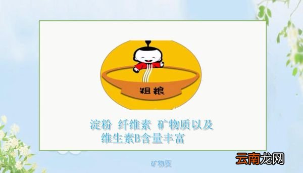粗粮有哪些 粗粮包含哪些食物