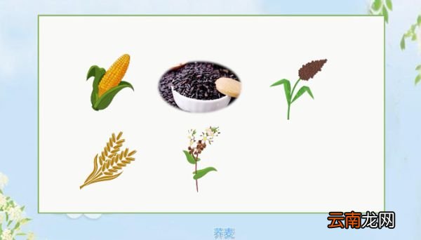 粗粮有哪些 粗粮包含哪些食物