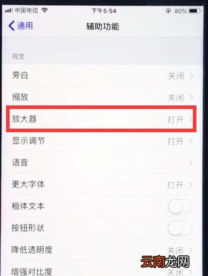 ios12中使用放大器的详细步骤