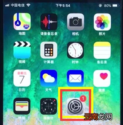 ios12中使用放大器的详细步骤