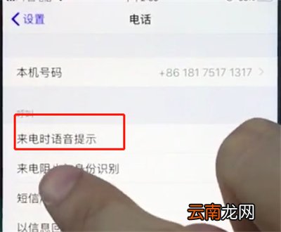 苹果手机打开来电语音提醒的详细步骤
