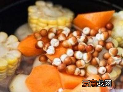 马蹄可以煲什么汤