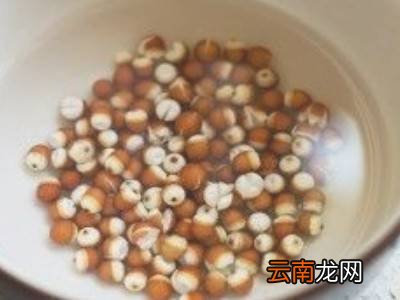 马蹄可以煲什么汤