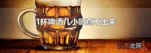 1杯啤酒几小时查不出来