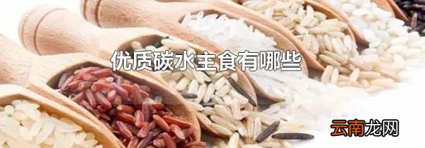 优质碳水主食有哪些