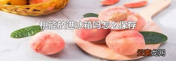 桃能放进冰箱吗怎么保存