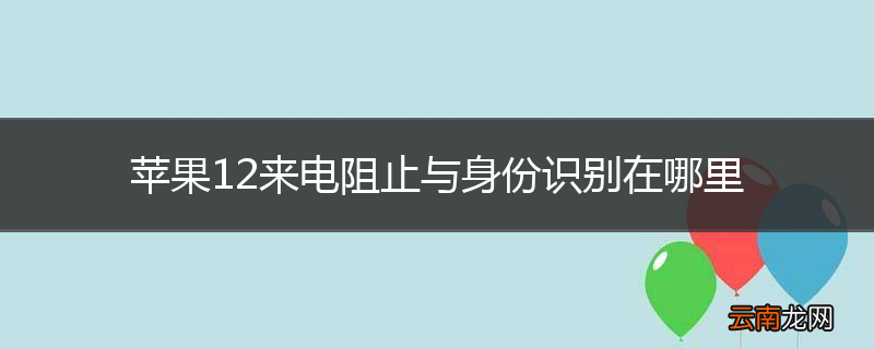 苹果12来电阻止与身份识别在哪里
