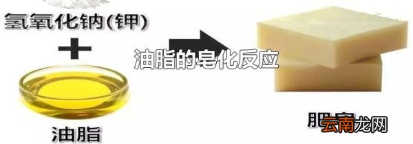 油脂的皂化反应
