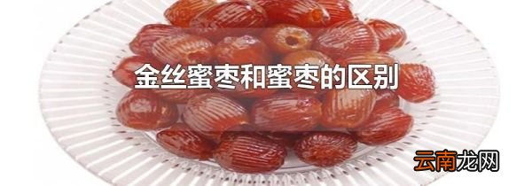 金丝蜜枣和蜜枣的区别