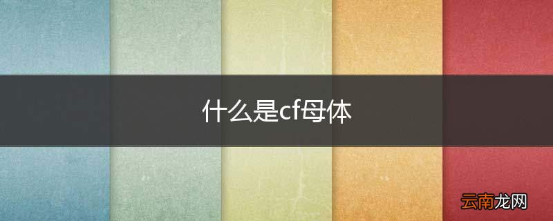 什么是cf母体