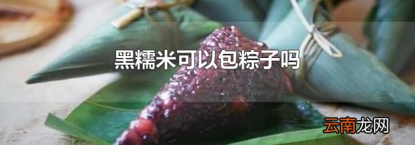 黑糯米可以包粽子吗