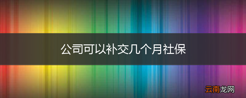 公司可以补交几个月社保