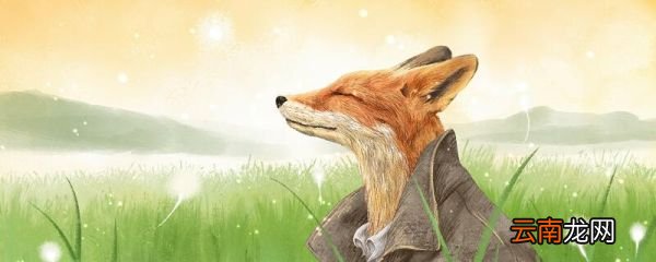 猫和狐狸的故事告诉我们什么道理 猫和狐狸的故事告诉我们的道理是什么
