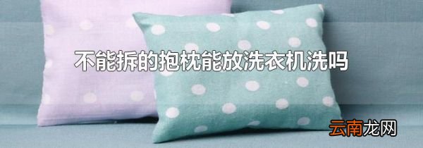 不能拆的抱枕能放洗衣机洗吗