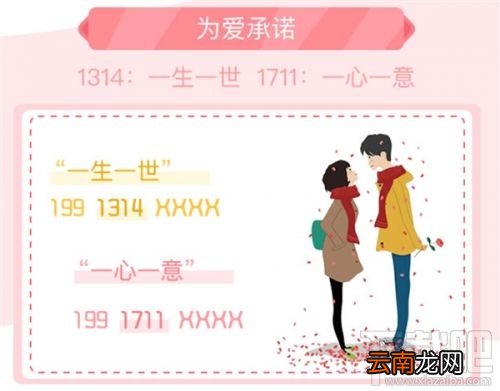 电信199号段专属定制有哪些号码?电信199号段专属定制怎么申请?
