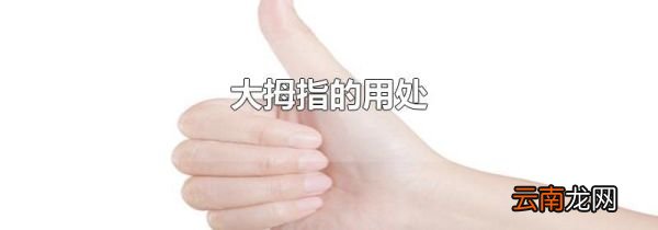 大拇指的用处