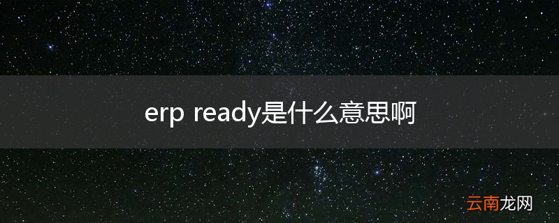 erp ready是什么意思啊