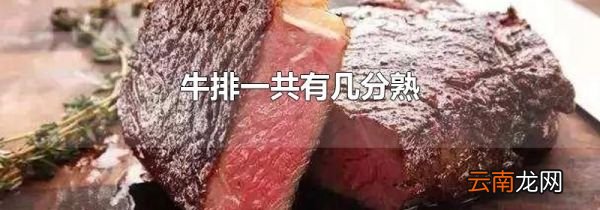 牛排一共有几分熟