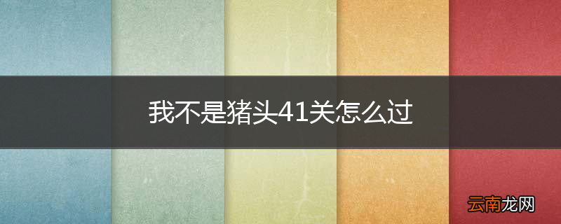 我不是猪头41关怎么过