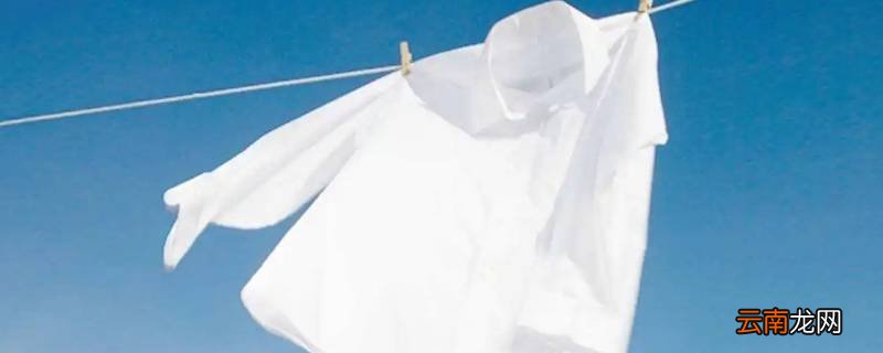 浆糊弄到衣服上怎么去掉