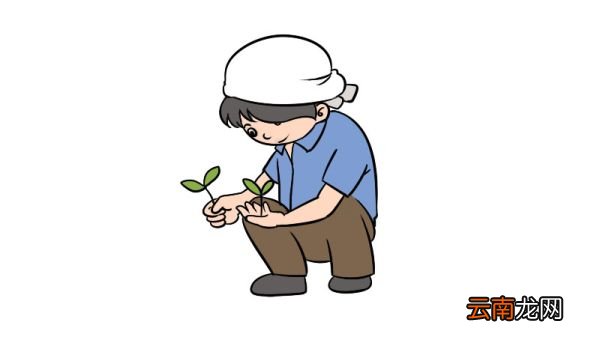 芒种的简笔画怎么画芒种的简笔画教程