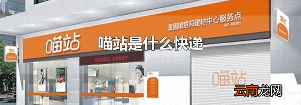 喵站是什么快递