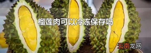 榴莲肉可以冷冻保存吗