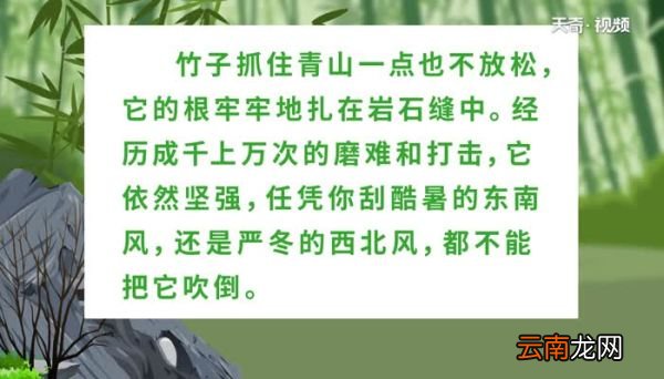 竹石翻译文竹石的意思