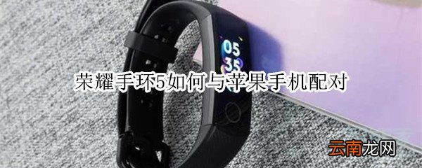 荣耀手环5如何与苹果手机配对