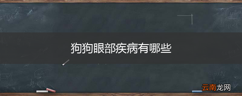 狗狗眼部疾病有哪些
