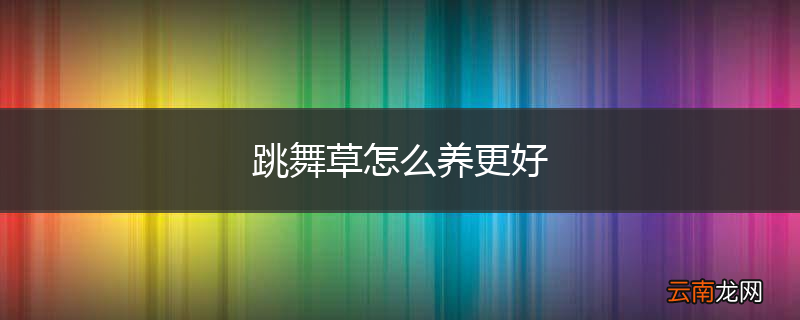 跳舞草怎么养更好
