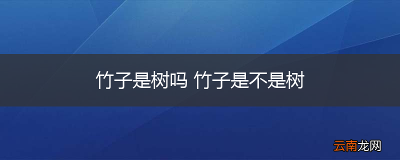 竹子是树吗 竹子是不是树
