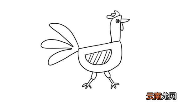 母鸡简笔画