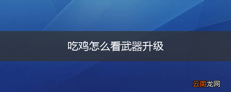 吃鸡怎么看武器升级