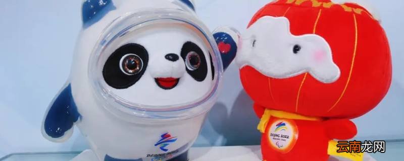 冰墩墩的由来是什么