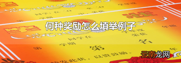 何种奖励怎么填举例子