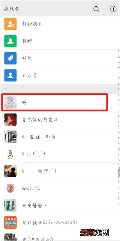 微信资料中显示号码的操作教程