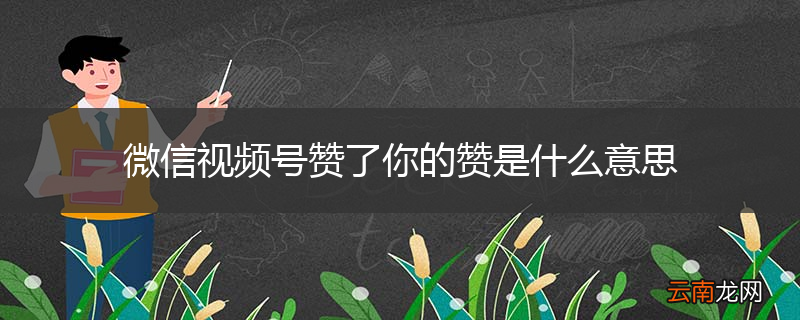 微信视频号赞了你的赞是什么意思