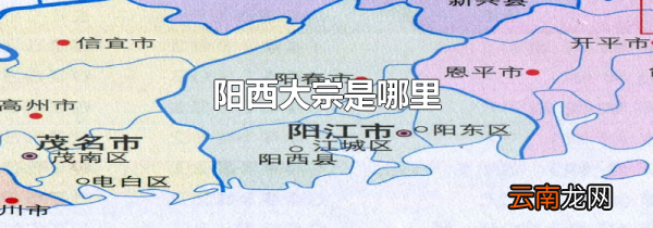 阳西大宗是哪里
