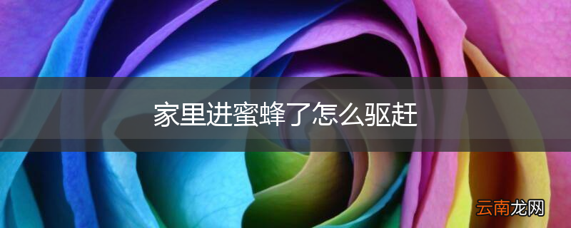 家里进蜜蜂了怎么驱赶