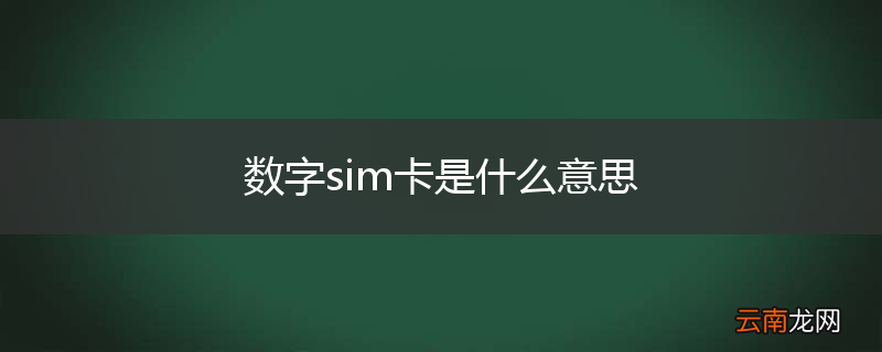 数字sim卡是什么意思