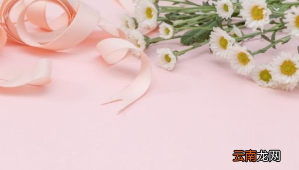 雏菊花语 雏菊花语是什么