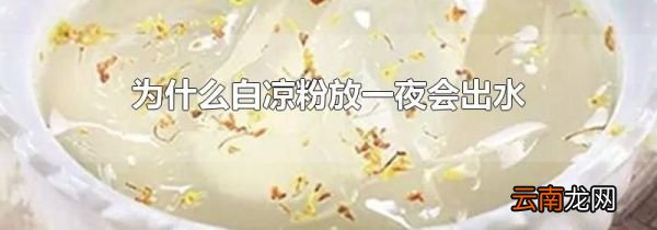 为什么白凉粉放一夜会出水