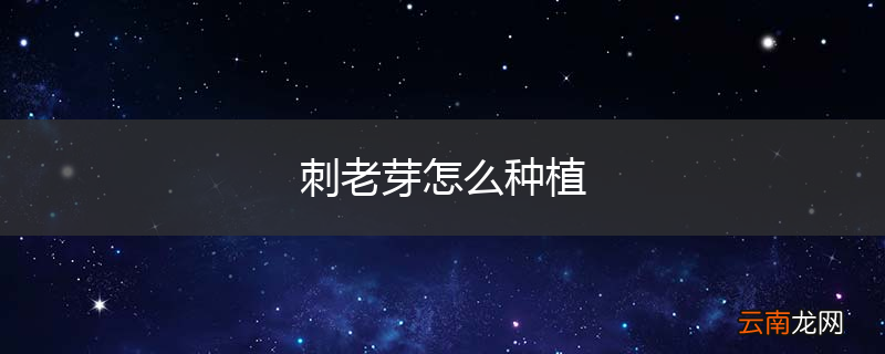 刺老芽怎么种植