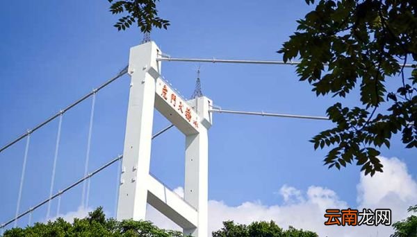 为什么虎门大桥会频震动 虎门大桥为什么会上下波动