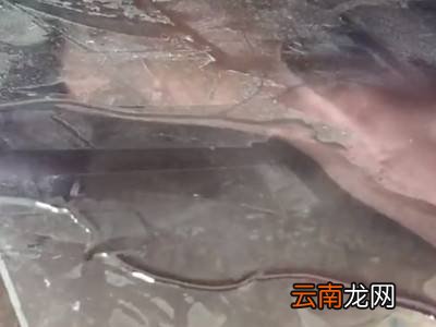 怎样去除玻璃上的粘胶
