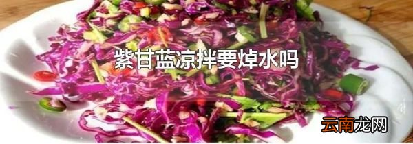 紫甘蓝凉拌要焯水吗