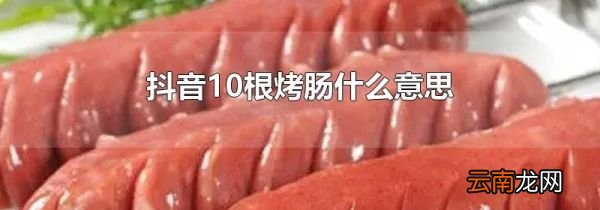 抖音10根烤肠什么意思